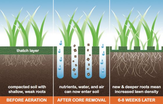 Core Aeration, Soil Modification Real Green Pest and Lawn | Austin, TX